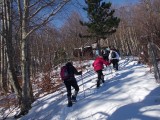 DSCN0989